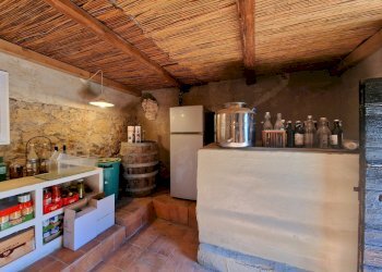 20250430_163830.jpg - Casale SP34, Montecchio - foto 17