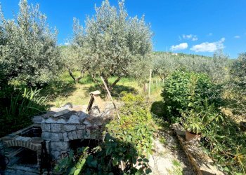 20250430_164000.jpg - Casale SP34, Montecchio - foto 19