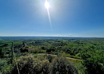 20250430_164053.jpg - Casale SP34, Montecchio - foto 25