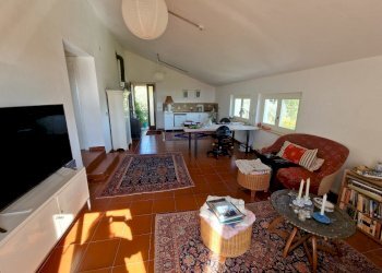 20250430_164102.jpg - Casale SP34, Montecchio - foto 26