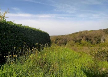 e02d327e-26a3-46c3-94b6-a428bbcade46.jpeg - Villa san silvestro, Amelia - photo 20