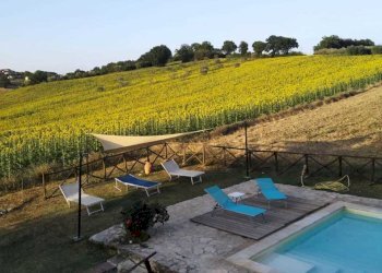 IMG-20211228-WA0021.jpg - Casale Strada del Poggio, Avigliano Umbro - foto 8