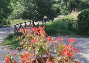 IMG-20211228-WA0023.jpg - Casale Strada del Poggio, Avigliano Umbro - foto 10