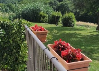 IMG-20211228-WA0024.jpg - Casale Strada del Poggio, Avigliano Umbro - foto 11