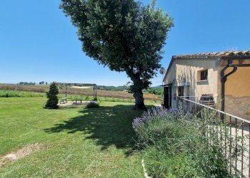 20240628_122539.jpg - Casale Strada del Poggio, Avigliano Umbro - foto 22