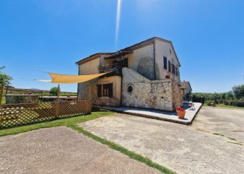 20240628_122823.jpg - Casale Strada del Poggio, Avigliano Umbro - foto 29