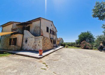 20240628_123248.jpg - Casale Strada del Poggio, Avigliano Umbro - foto 30