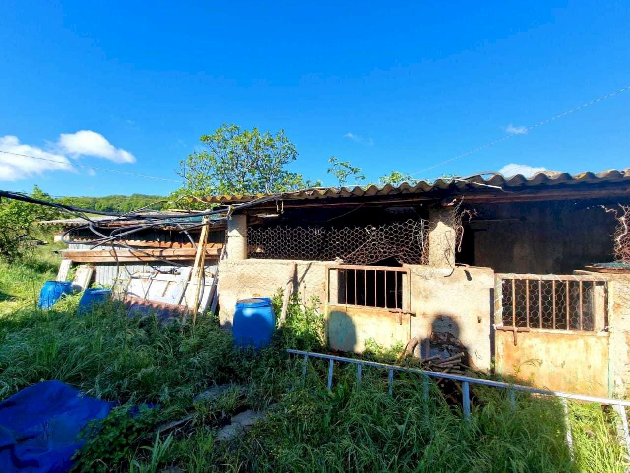 3ac42b0a-346c-4485-8cb1-d10b38abe637.jpeg - Casale strada Ortana, Amelia - photo 3