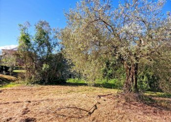 17d0d87d-3134-448c-a2c9-9b0f89562ee6.jpeg - Casale strada Ortana, Amelia - photo 10