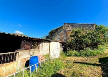 87827f0a-b0d0-443c-a36c-b33b79d0586b.jpeg - Casale strada Ortana, Amelia - photo 17