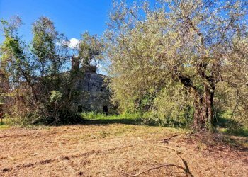 ca069205-1de7-40d0-a47f-9a6a10a77917.jpeg - Casale strada Ortana, Amelia - photo 19