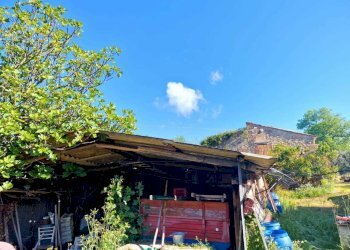 f18f18c9-e6db-42ef-8edc-8ce6c0d6e6f2.jpeg - Casale strada Ortana, Amelia - photo 26