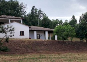 IMG-20240916-WA0146.jpg - Villa frattuccia, Guardea - foto 1