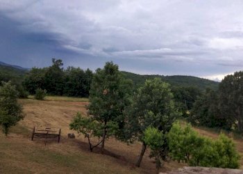 IMG-20240916-WA0143.jpg - Villa frattuccia, Guardea - foto 4