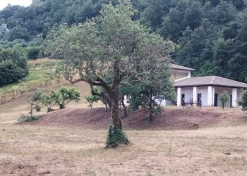 IMG-20240916-WA0147.jpg - Villa frattuccia, Guardea - foto 7