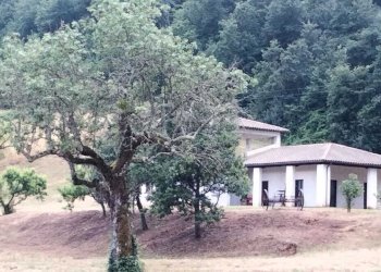 IMG-20240916-WA0148.jpg - Villa frattuccia, Guardea - foto 8