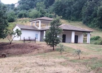 IMG-20240916-WA0149.jpg - Villa frattuccia, Guardea - foto 9