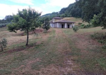 IMG-20240916-WA0150.jpg - Villa frattuccia, Guardea - foto 10