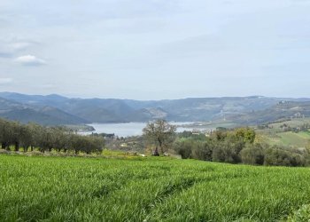 20250321_151525.jpg - Rustic SP92 95, Baschi - photo 6