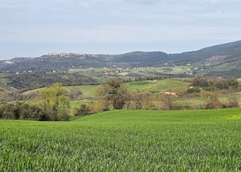 20250321_154748.jpg - Rustic SP92 95, Baschi - photo 7