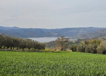 20250321_154830.jpg - Rustic SP92 95, Baschi - photo 20