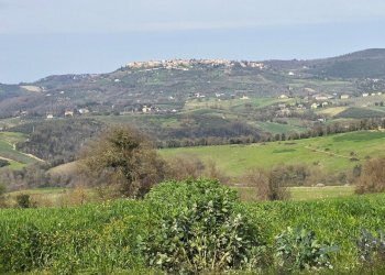 20250321_154306.jpg - Rustic SP92 95, Baschi - photo 27