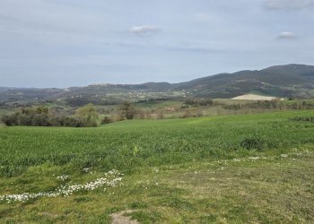 20250321_151432.jpg - Rustic SP92 95, Baschi - photo 28