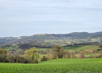 20250321_151439.jpg - Rustic SP92 95, Baschi - photo 29