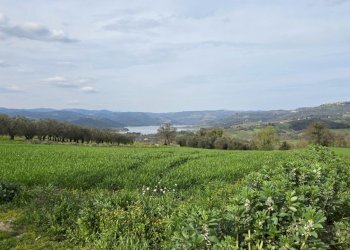 20250321_151519.jpg - Rustic SP92 95, Baschi - photo 30