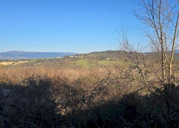 20250306_153744.jpg - Rustico Frazione Romazzano, Todi - foto 10