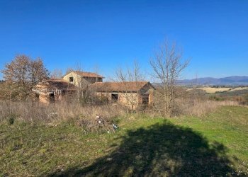 20250306_154058.jpg - Rustico Frazione Romazzano, Todi - foto 15