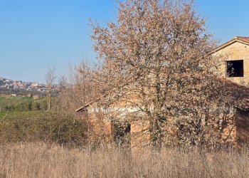 20250306_154213.jpg - Rustico Frazione Romazzano, Todi - foto 19