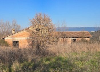 20250306_154325.jpg - Rustico Frazione Romazzano, Todi - foto 20