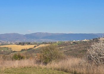 20250306_154430.jpg - Rustico Frazione Romazzano, Todi - foto 21