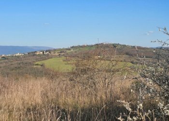 20250306_154532.jpg - Rustico Frazione Romazzano, Todi - foto 24