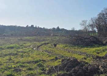 20250306_155719.jpg - Rustico Frazione Romazzano, Todi - foto 28