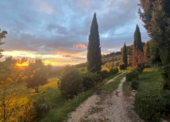 casale in pietra (7).jpg - Casale Via degli Ulivi 18, Baschi - photo 2