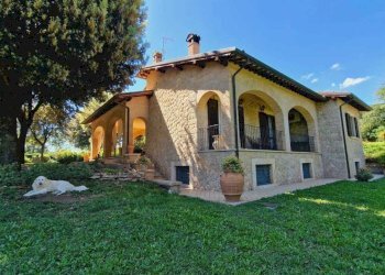 casale (1).jpg - Casale Località Casenuove snc, Civitella d'Agliano - foto 2