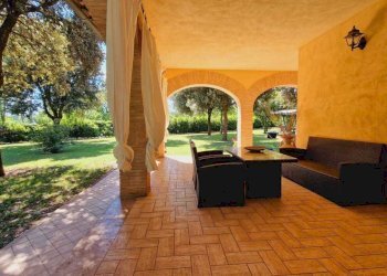 casale (6).jpg - Casale Località Casenuove snc, Civitella d'Agliano - foto 5