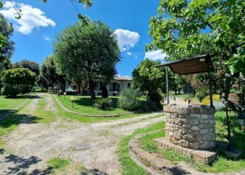 casale (15).jpg - Casale Località Casenuove snc, Civitella d'Agliano - foto 6