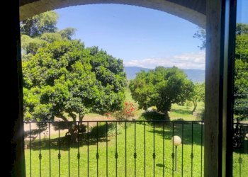 casale (2).jpg - Casale Località Casenuove snc, Civitella d'Agliano - foto 10