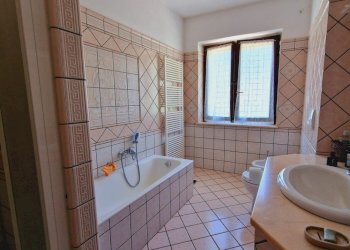 IMG-20240510-WA0066.jpg - Casale Località Casenuove snc, Civitella d'Agliano - foto 12