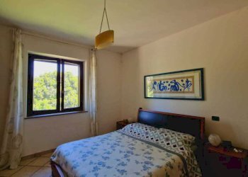 IMG-20240510-WA0068.jpg - Casale Località Casenuove snc, Civitella d'Agliano - foto 16