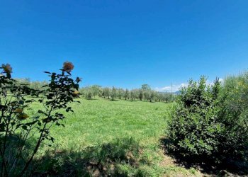 casale (11).jpg - Casale Località Casenuove snc, Civitella d'Agliano - foto 20