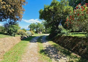 casale (21).jpg - Casale Località Casenuove snc, Civitella d'Agliano - foto 23