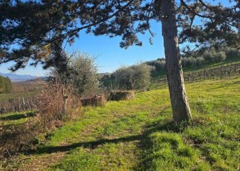 20250204_145643.jpg - Casale Strada Provinciale 45 snc, Castel Viscardo - photo 6