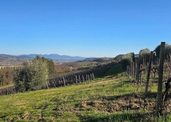 20250204_151619.jpg - Casale Strada Provinciale 45 snc, Castel Viscardo - photo 7