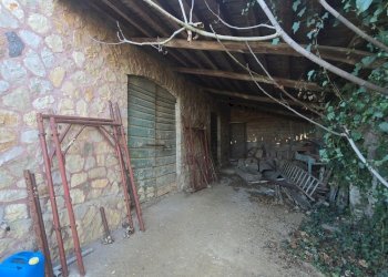 20250204_145206.jpg - Casale Strada Provinciale 45 snc, Castel Viscardo - photo 18