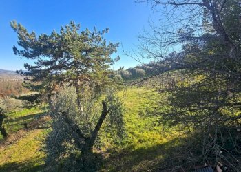 20250204_144959.jpg - Casale Strada Provinciale 45 snc, Castel Viscardo - photo 21