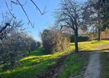 20250204_150026.jpg - Casale Strada Provinciale 45 snc, Castel Viscardo - photo 27